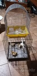Gabbia per uccelli 