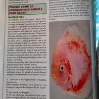 Libro sui pesci Discus
