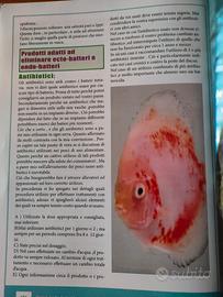 Libro sui pesci Discus