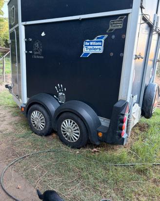 Trailer trasporto cavalli