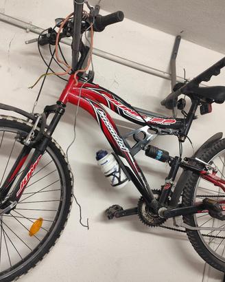 Bici montebik Casadei full Power 