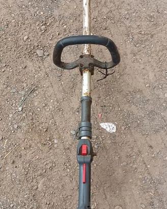 TAGLIAERBA