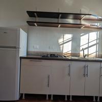 cucina lineare con frigo 