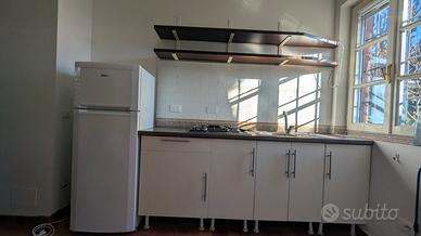 cucina lineare con frigo 