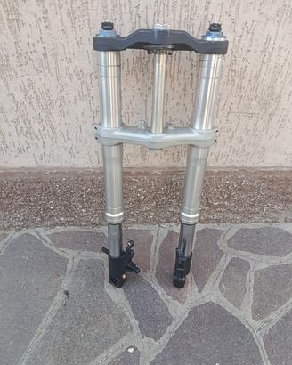 forcella completa Honda Fireblade 954