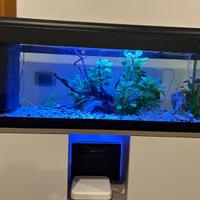 Acquario 100 litri