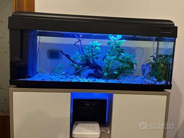 Acquario 100 litri