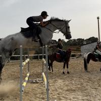 Cavallo per conseguimento 1 grado