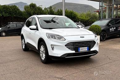 FORD Kuga 1.5 EcoBlue 120 CV 2WD Titanium Busine