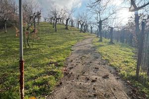 Bosco Noce Scancanata Melfi