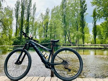 Trek E-Caliber 9.6