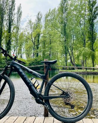 Trek E-Caliber 9.6