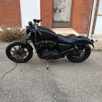 Harley Davidson 883 iron