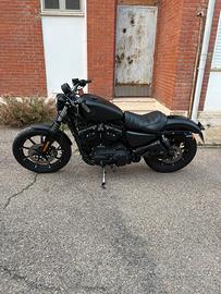 Harley Davidson 883 iron