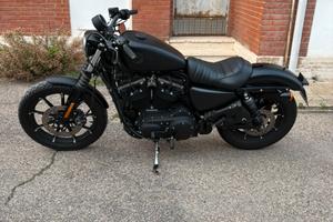 Harley Davidson 883 iron