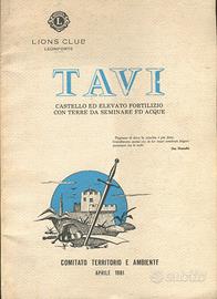 Tavi castello ed elevato fortilizio