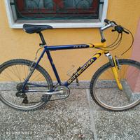 mountain bike bottecchia