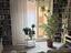 Immagine 10