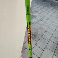 canna colmic strong