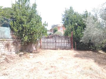 Terreno agricolo grottaferrata