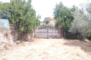 Terreno agricolo grottaferrata
