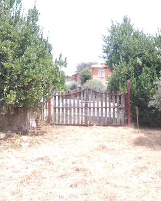 Terreno agricolo grottaferrata
