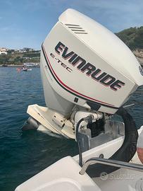 Evinrude e-tec  115cv