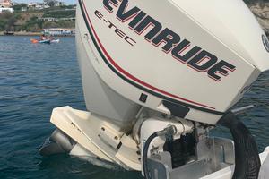 Evinrude e-tec  115cv