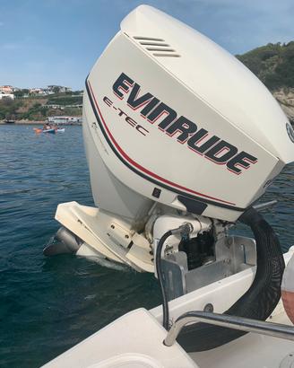 Evinrude e-tec  115cv