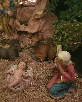 Presepe