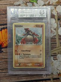 groudon holo #102 ita Beckett 8.5