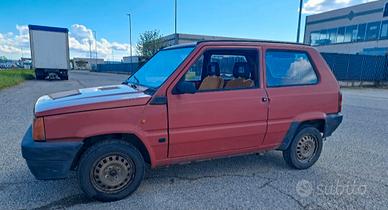 Fiat Panda 1100 i.e. cat Young