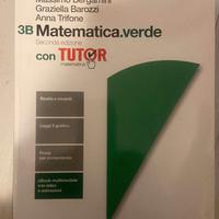 3A + 3B Matematica.verde seconda edizione