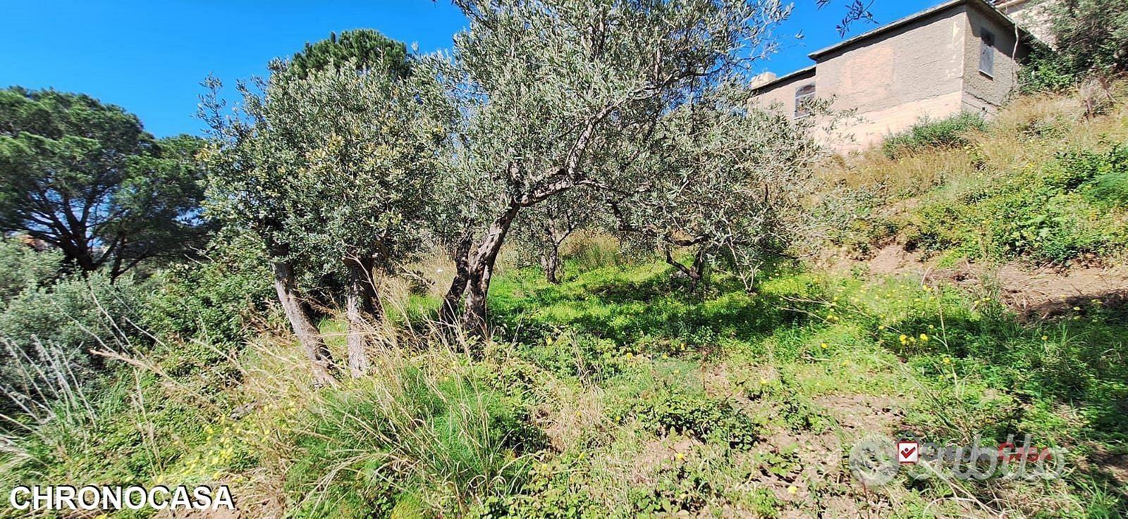 Rodia, terreno agricolo di circa 1000 mq - Vista 3