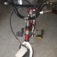 Bici edizione limitata