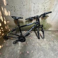 Bicicletta mountain bike