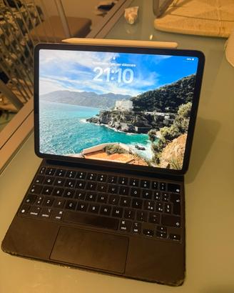 Ipad pro 11 256gb