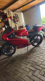 Aprilia rs 50 top viola 70cc carb21 dellorto 