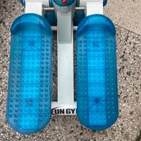 Stepper fun gym