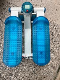 Stepper fun gym