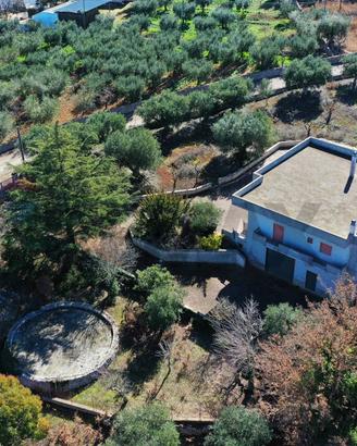 Villa singola - Locorotondo