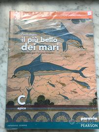 Libro di epica “Il più bello dei mari”