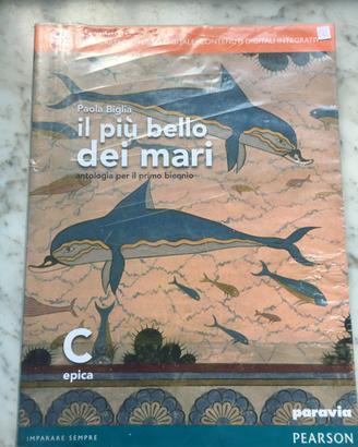 Libro di epica “Il più bello dei mari”