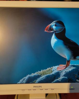 Monitor 17" Philips 170S5