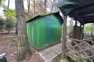 Casetta-Capanno in legno 3x4 m - Da ristrutturare