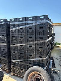 Cassette di plastica