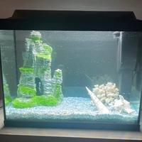 Acquario Tetra Starter Line 80L con LED