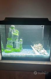 Acquario Tetra Starter Line 80L con LED