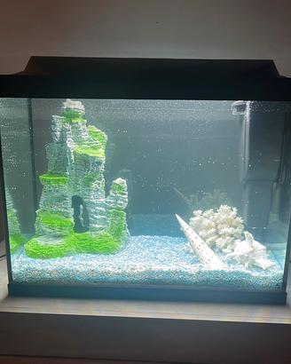 Acquario Tetra Starter Line 80L con LED