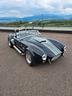 cobra-body-pilgrim-sumo-replica-v8